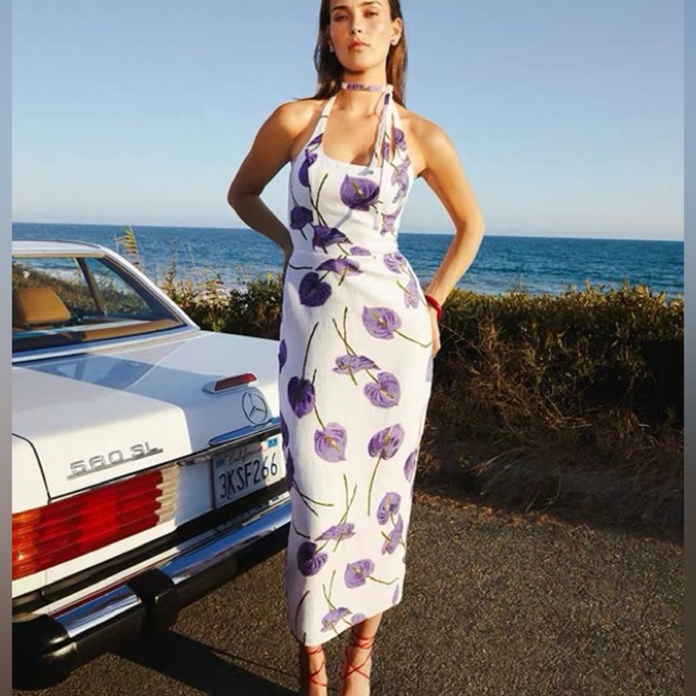 New Reformation Yana Linen Dress Spectra Floral 4